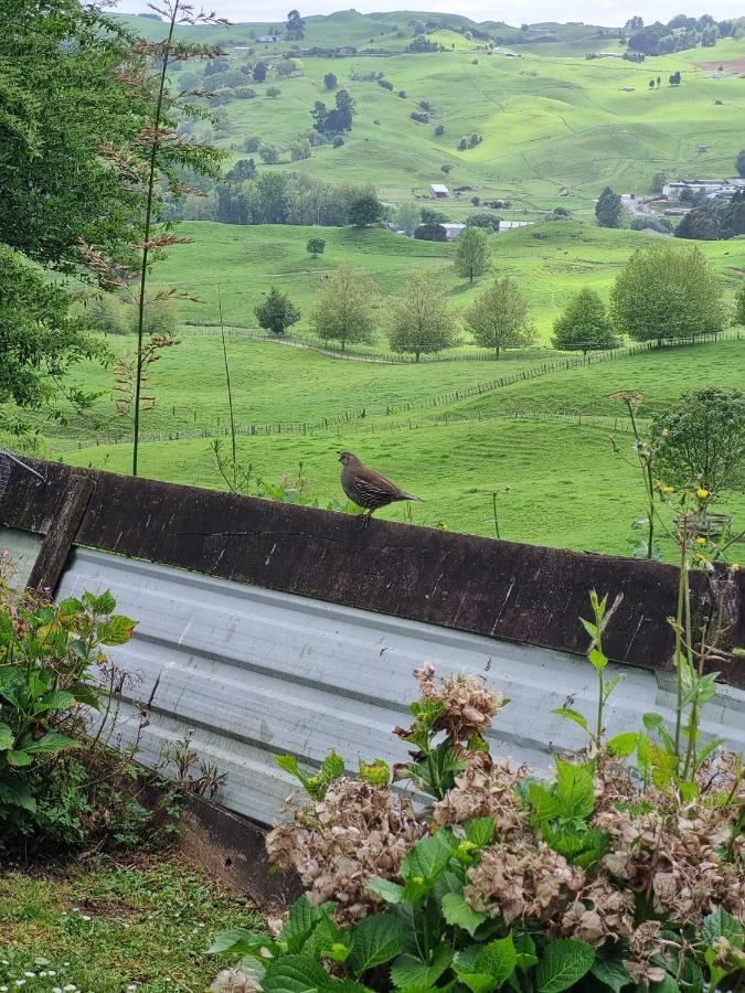 Raven'S Rest Otel Te Kuiti Dış mekan fotoğraf